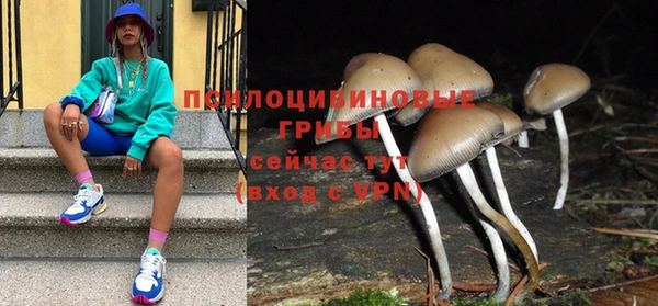 соль курить ск Горно-Алтайск