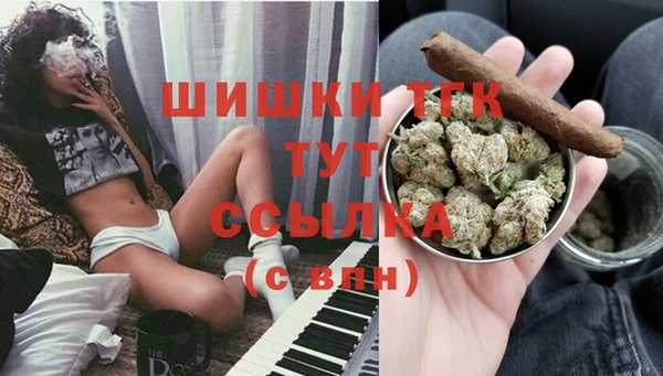 МДПВ Горнозаводск