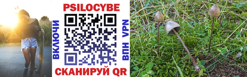 ссылка на мегу ONION  Дмитров  Галлюциногенные грибы Psilocybe 